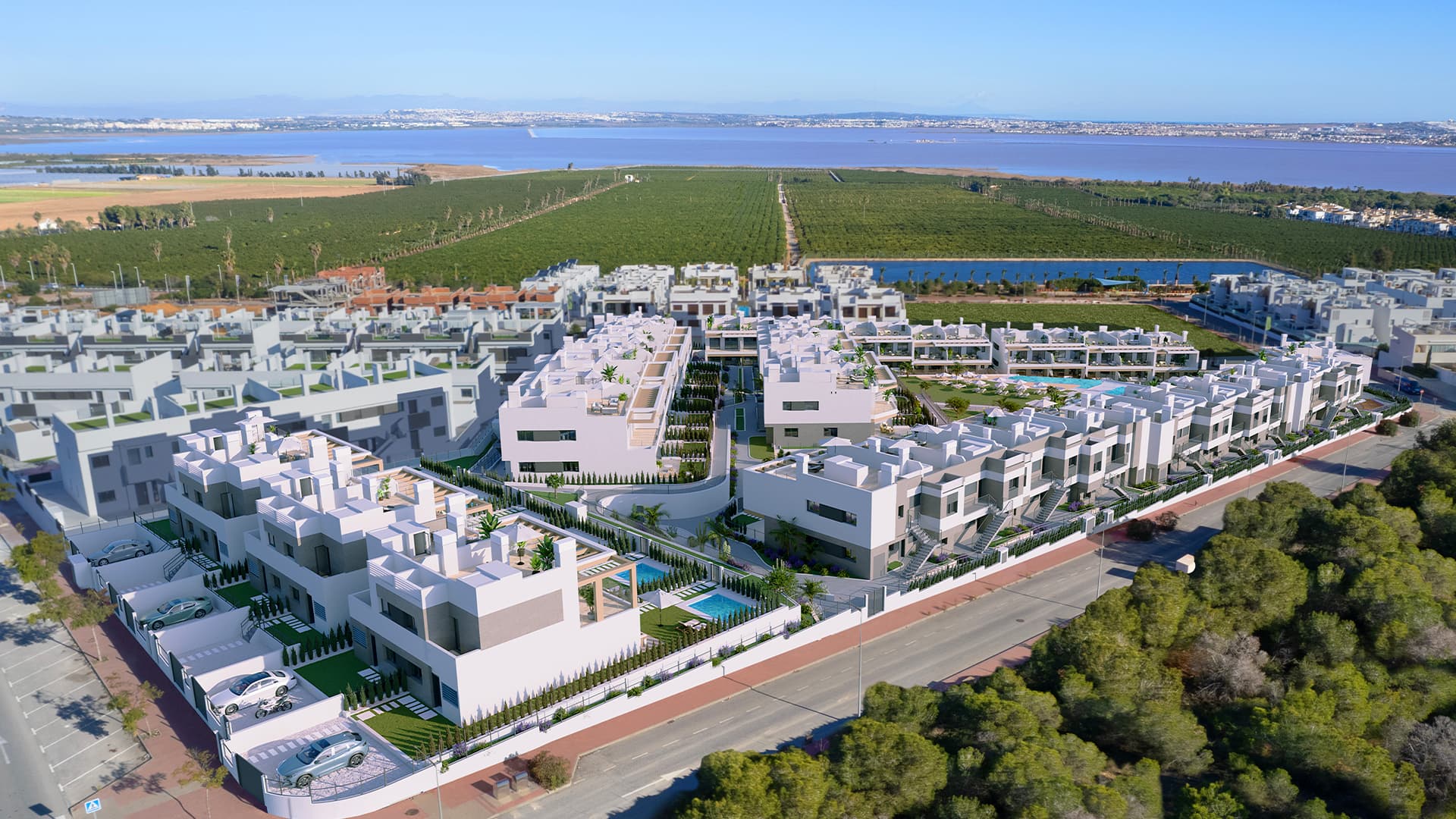 Coronella Living
